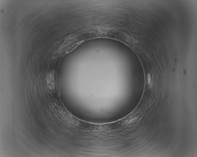 X0000056311203200508291144