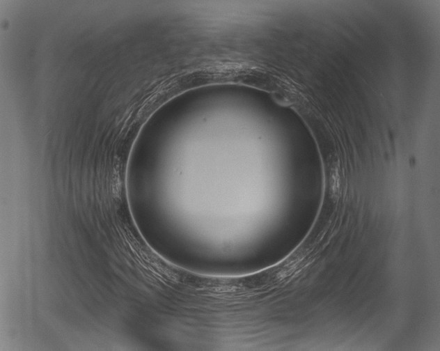 X0000056311204200508291144