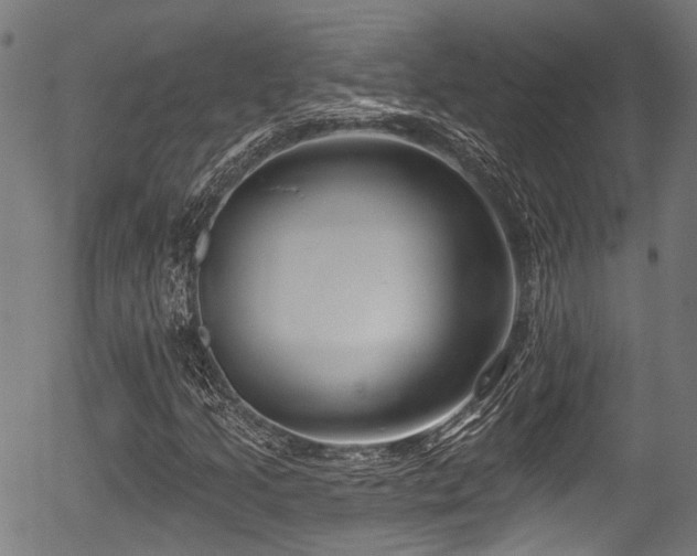 X0000056311205200508291144