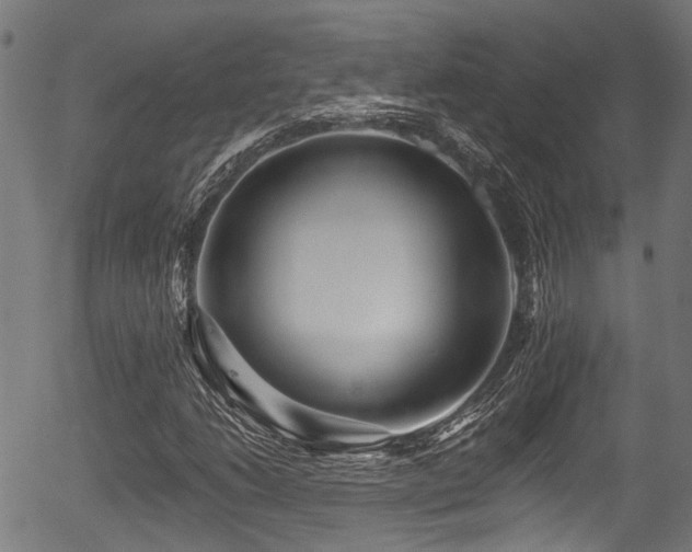 X0000056311206200508291144