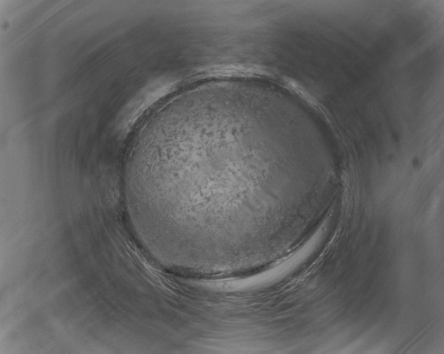 X0000056311213200508291144