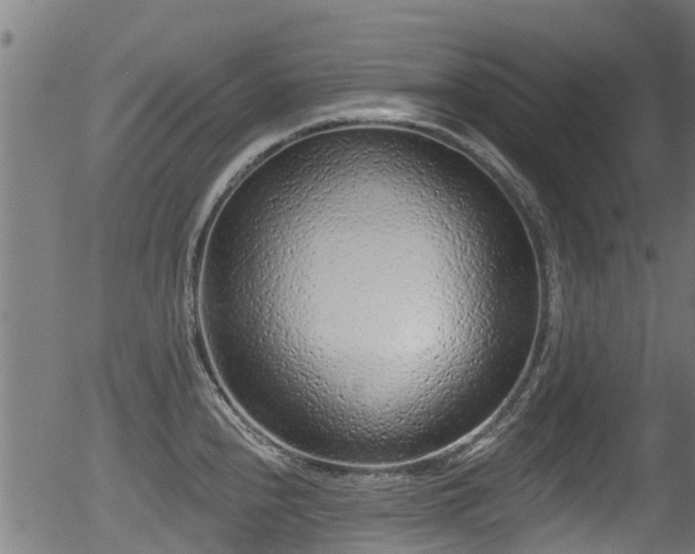 X0000056311240200508291145