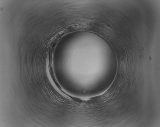 X0000056311250200508291144