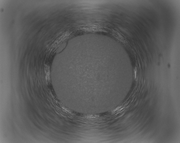 X0000056311251200508291144