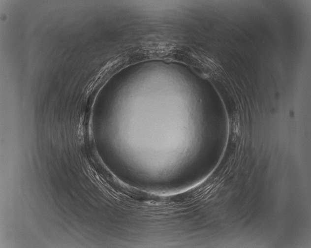 X0000056311252200508291144