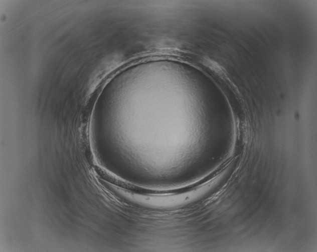 X0000056311260200508291144