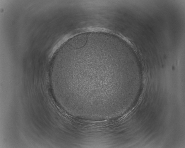 X0000056311263200508291144