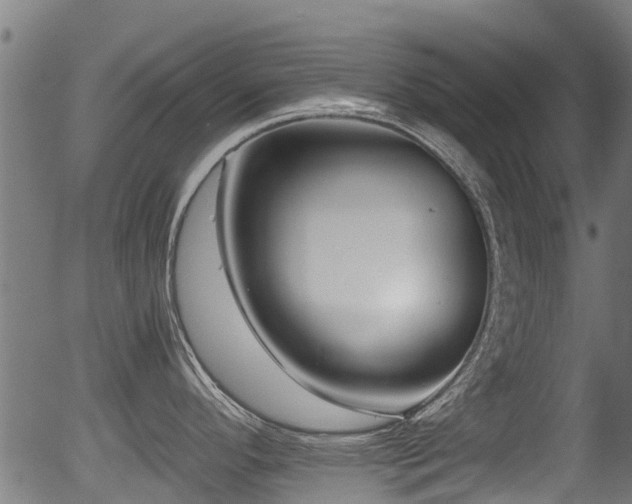X0000056311296200508291143