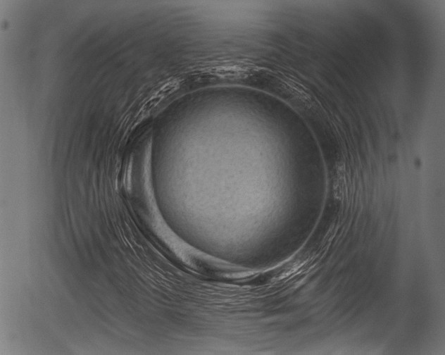 X0000056311298200508291143