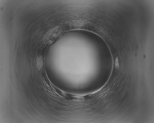X0000056311299200508291143