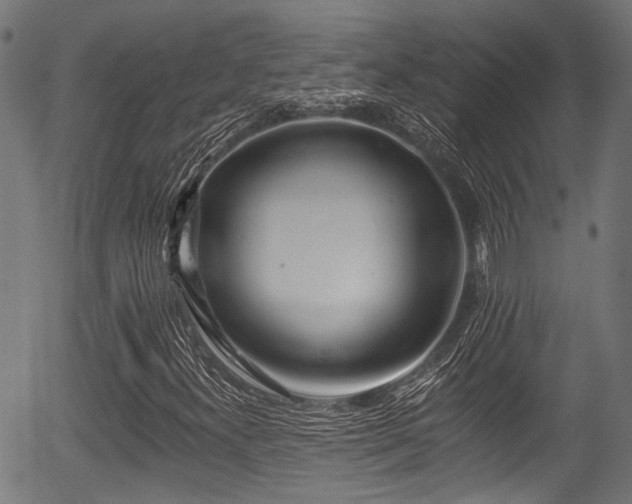 X0000056311300200508291143