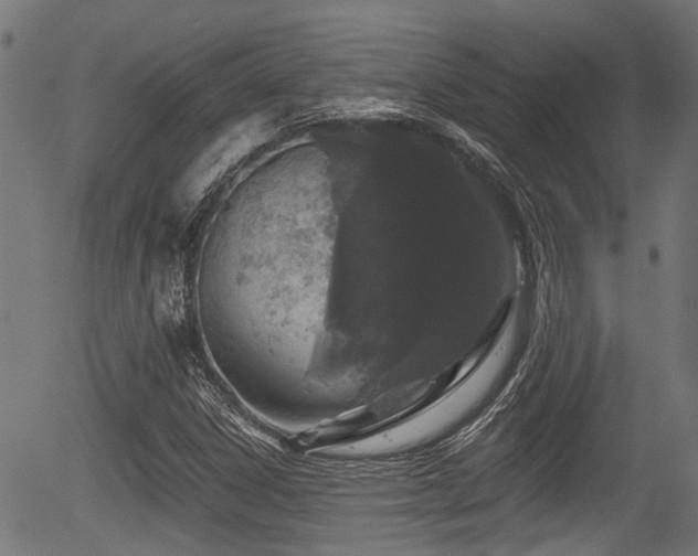 X0000056311306200508291143