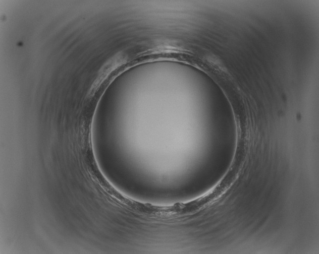 X0000056311313200508291143