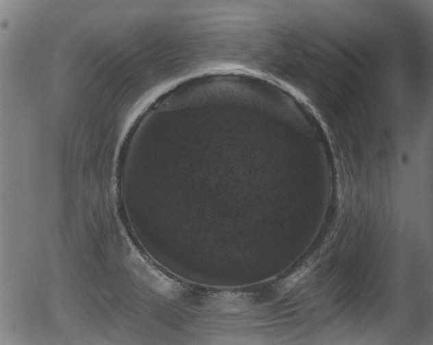 X0000056311327200508291143