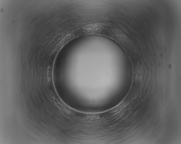 X0000056311346200508291143