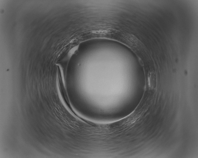X0000056311347200508291143