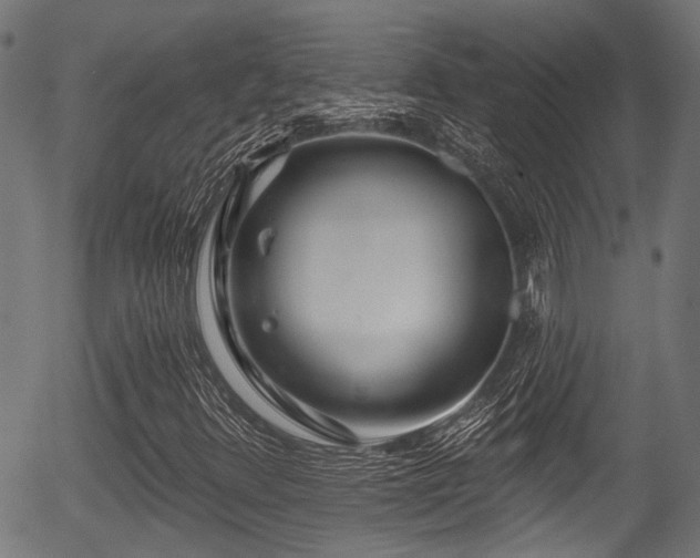 X0000056311348200508291143