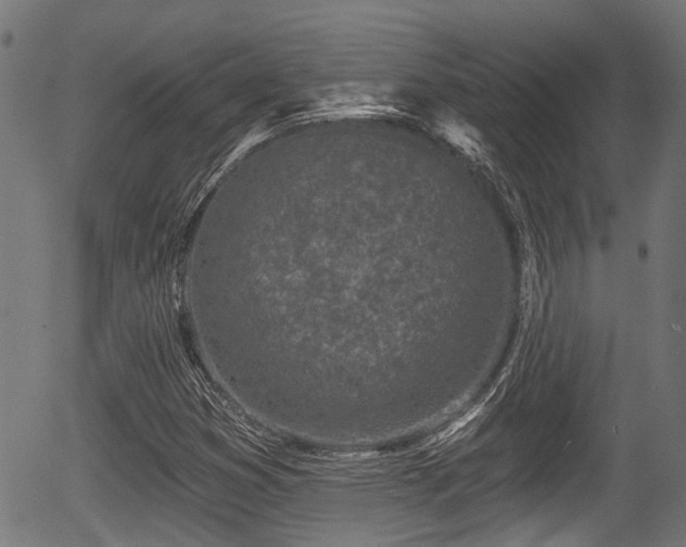 X0000056311353200508291142