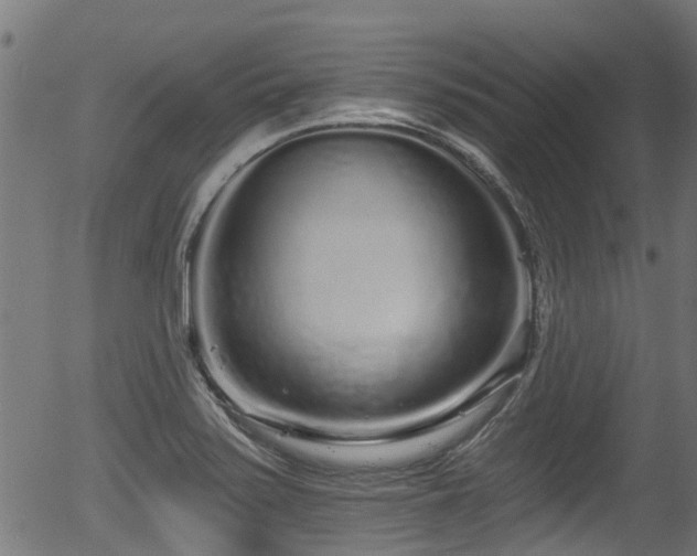 X0000056311371200508291142