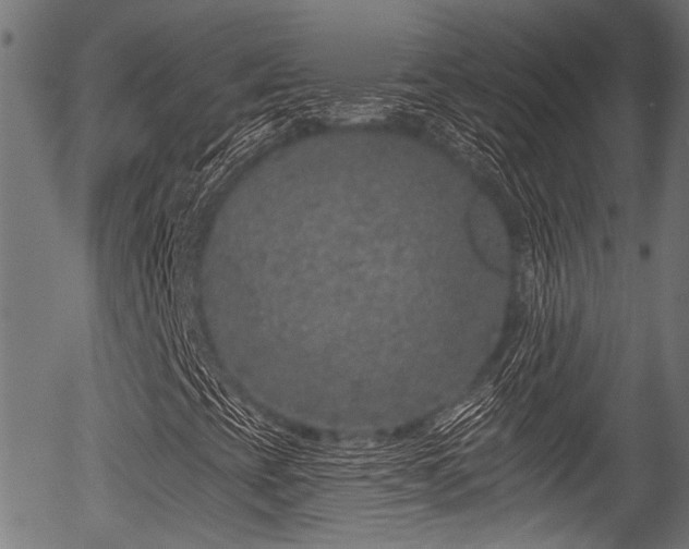 X0000056311393200508291141