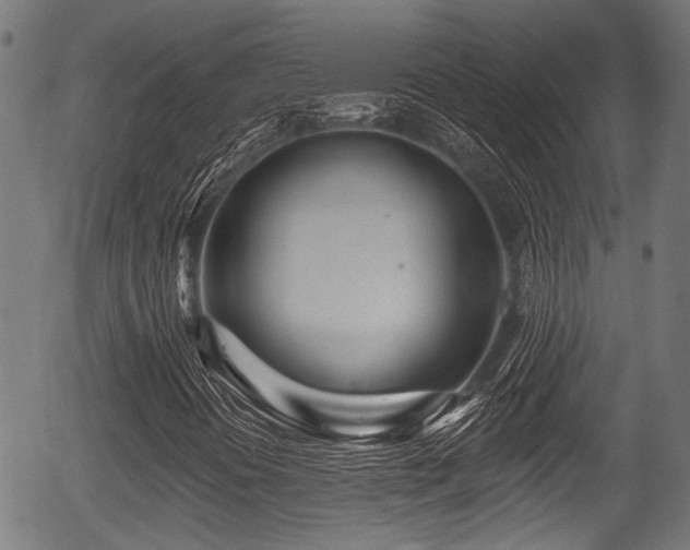 X0000056311394200508291141