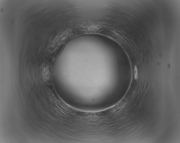 X0000056311395200508291141