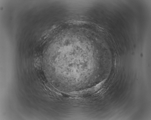 X0000056311397200508291141