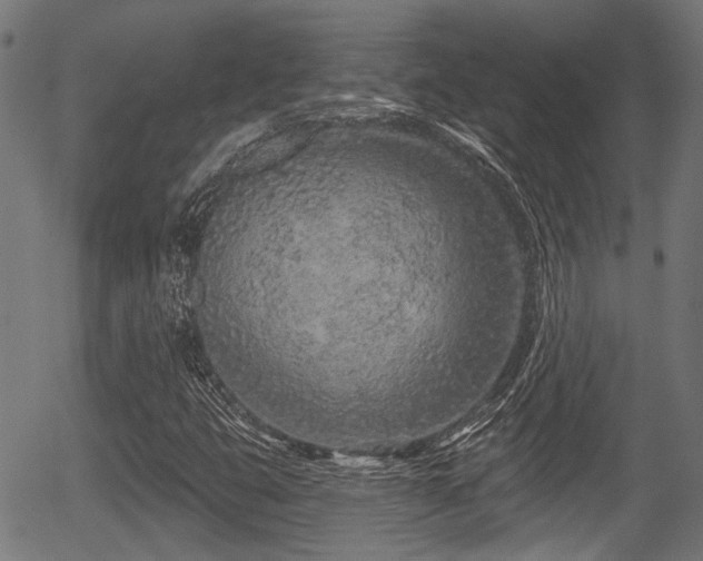 X0000056311399200508291141