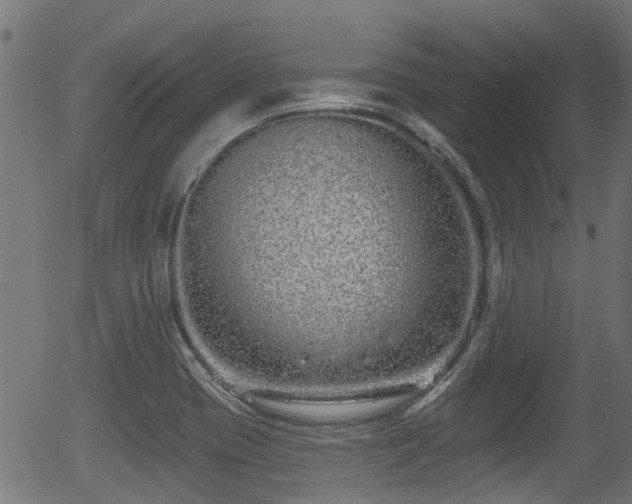 X0000056311417200508291141