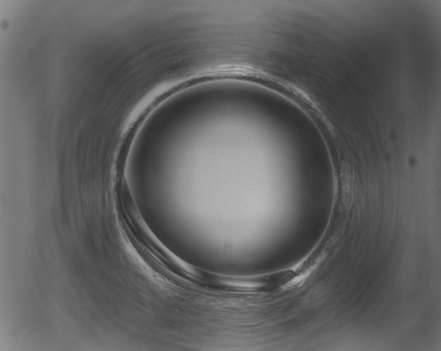 X0000056311422200508291141