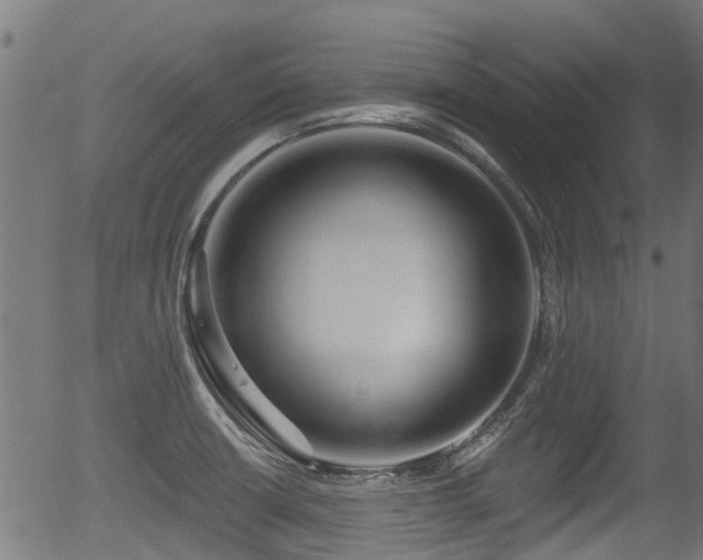 X0000056311426200508291142