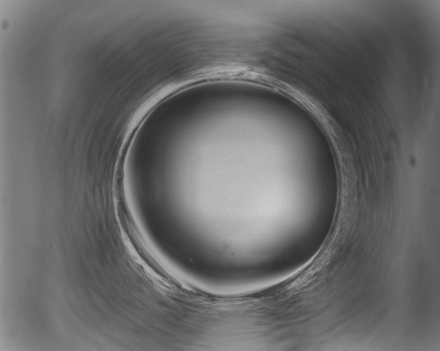 X0000056311440200508291142