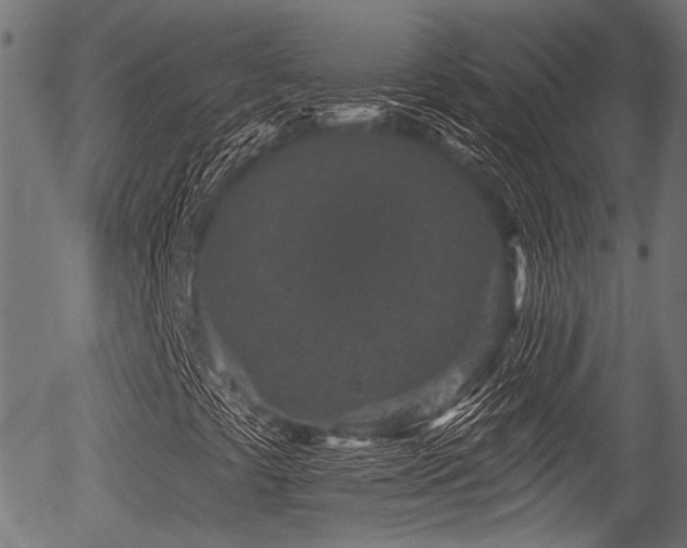X0000056311441200508291141