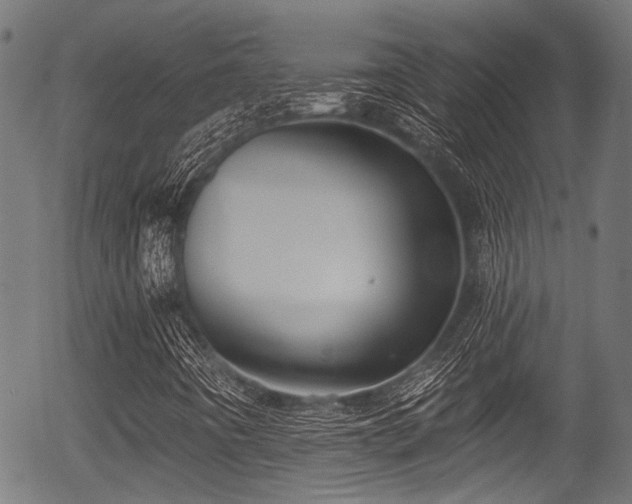 X0000056311442200508291141