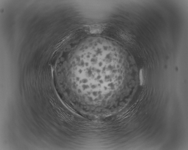 X0000056311443200508291141