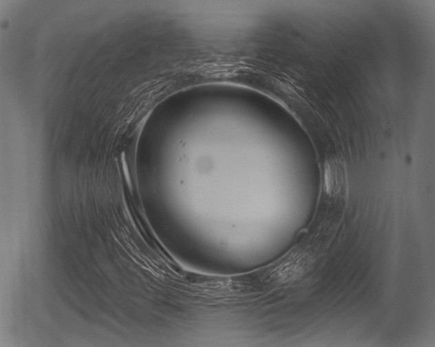 X0000056311444200508291141