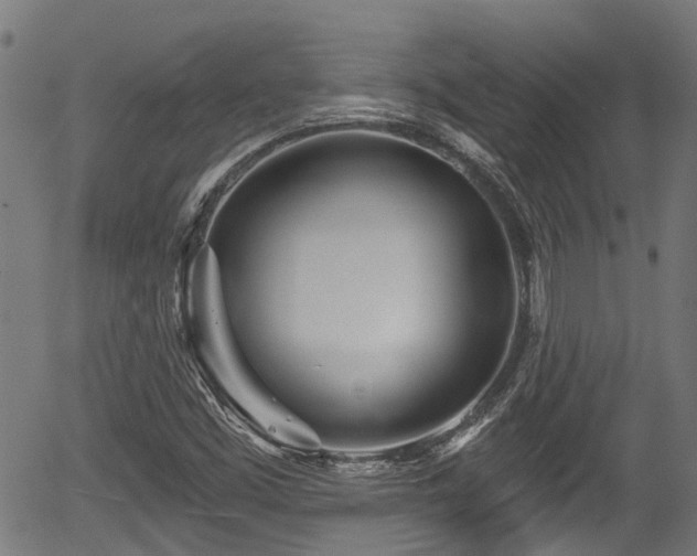 X0000056311453200508291141