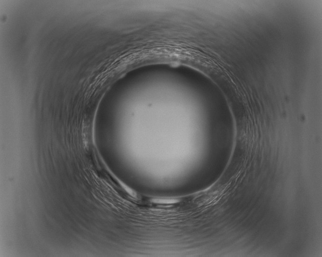 X0000056311490200508291139