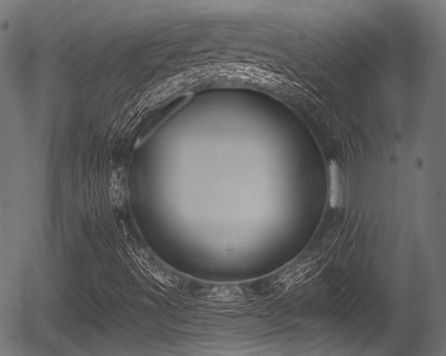 X0000056311491200508291139