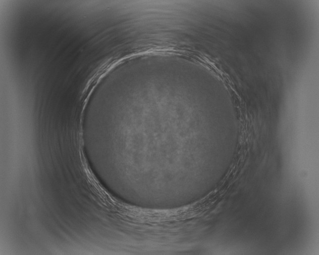 X0000056310002200509021549