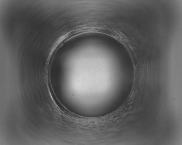 X0000056310003200509021549