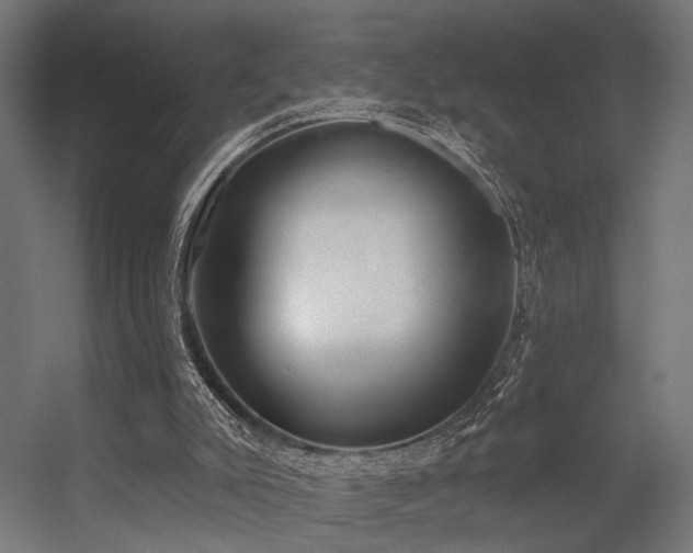 X0000056310007200509021549