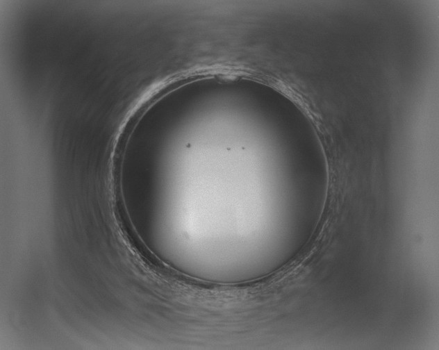 X0000056310008200509021549