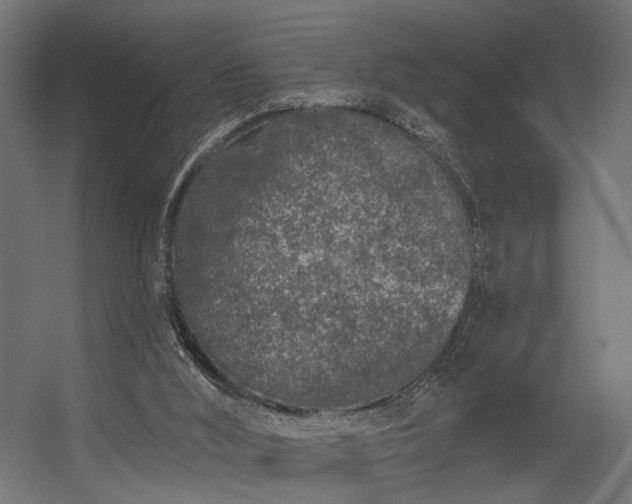 X0000056310012200509021549