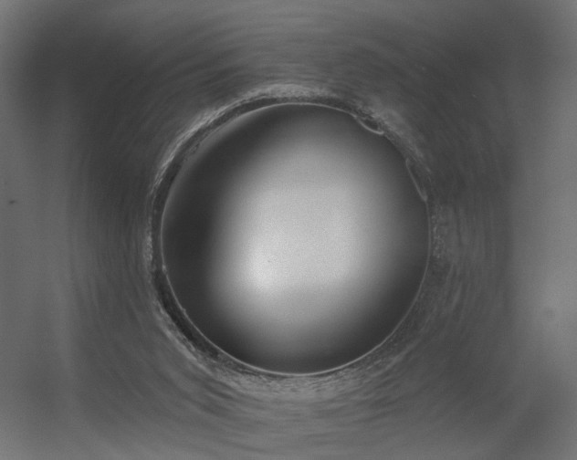 X0000056310015200509021549