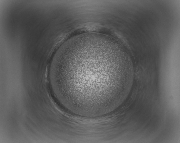 X0000056310018200509021549
