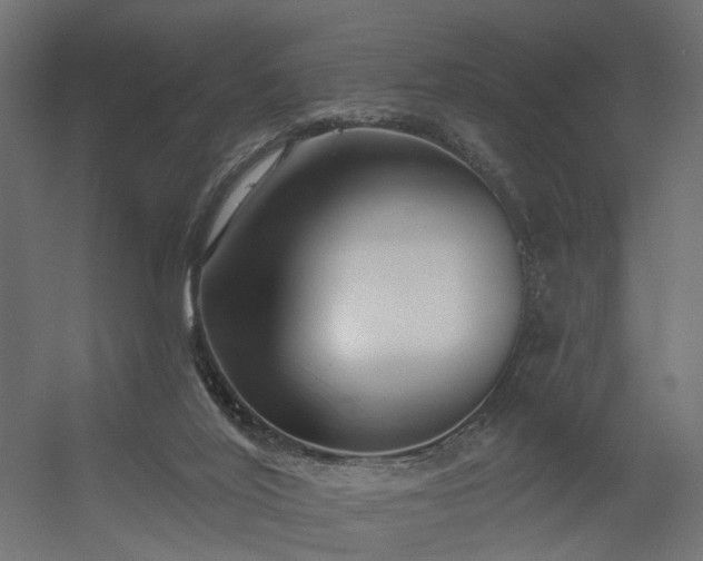 X0000056310020200509021549