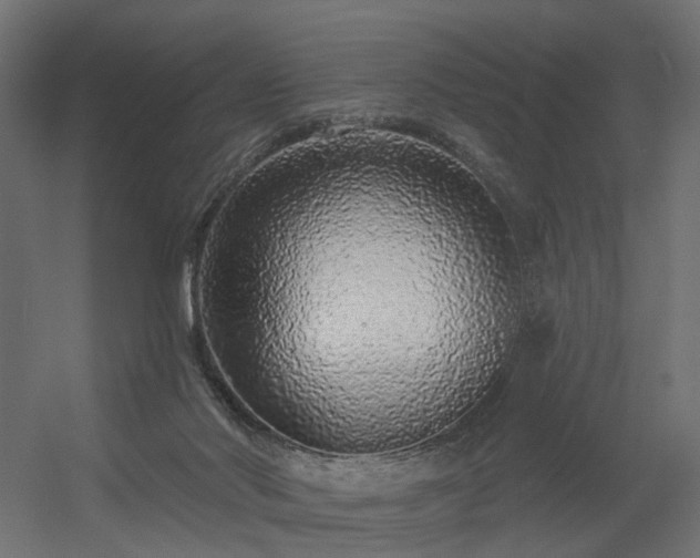 X0000056310022200509021549