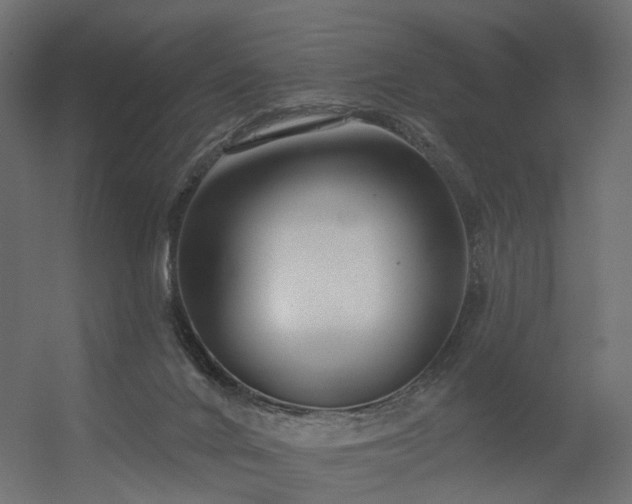 X0000056310024200509021549