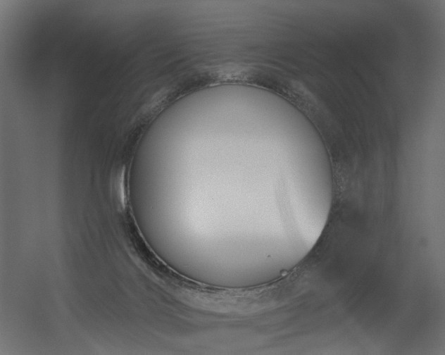 X0000056310028200509021549